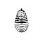 Mr S Leather Stainless Steel Seed Pod Chastity Cage