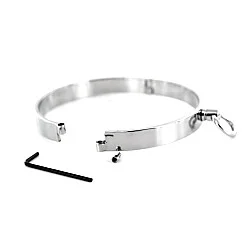 Stainless Steel Slave Collar