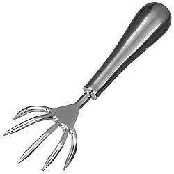 Adornis Dragon Claws